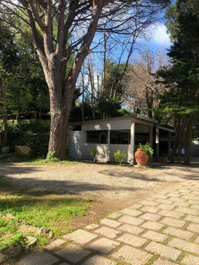 Villa Musolino - Country Resort Messina Exterior photo